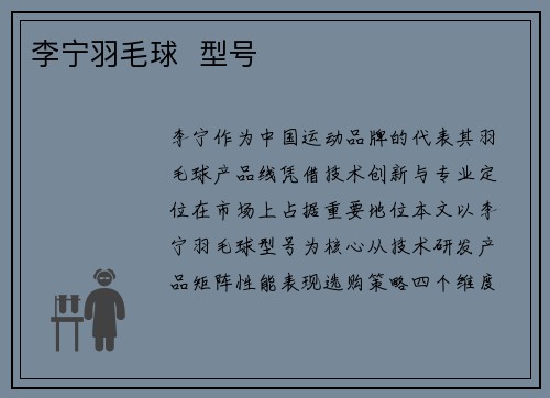 李宁羽毛球  型号